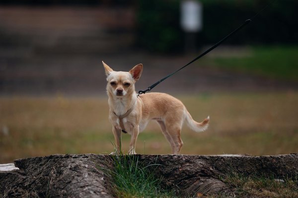 What Steps Can Be Taken to Improve Health Awareness in the UK?