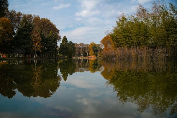 How can community wellness programs improve public health in the UK?